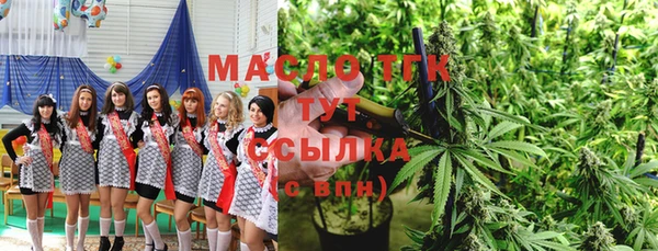 тгк Каменногорск
