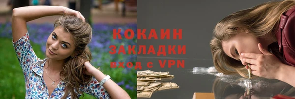 дживик Каменка