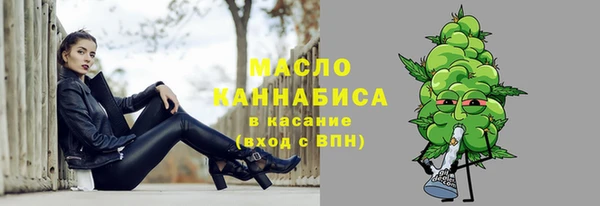 тгк Каменногорск