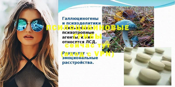 тгк Каменногорск