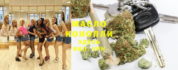 тгк Каменногорск