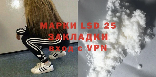дживик Каменка