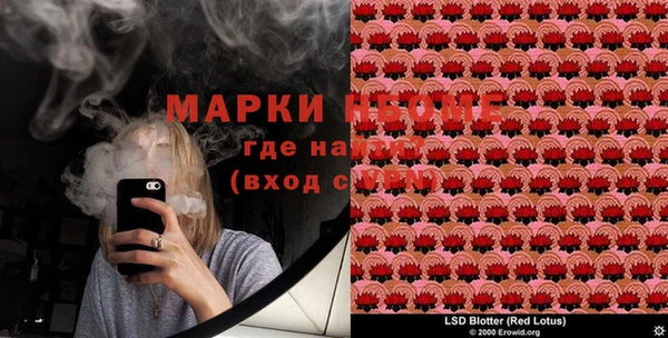 тгк Каменногорск