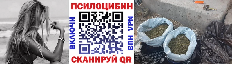 Купить где  Карталы  Галлюциногенные грибы GOLDEN TEACHER 